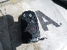 3C4NJDBBXJT****** Salvamento 2018 Jeep Compass en Estado de Indiana