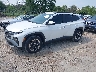3KMJCCDE2SE****** Usados y Reparables 2025 Hyundai Tucson en Appleton