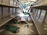4UZAC3EA9MC****** Salvage 2021 Freightliner Mt55g in Pensacola