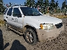 1FMYU01B12K****** Salvage and Wrecked 2002 Ford Escape in Seattle