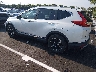 5J6RW1H96HL****** Salvage and Repairable 2017 Honda CR-V in Nashville