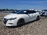 1N4AA6AP5HC****** Used and Repairable 2017 Nissan Maxima in Lexington