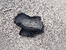 3GKALMEV0LL****** Wrecked 2020 GMC Terrain in Louisiana State