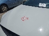 WBA6D0C50GD****** Reparables 2016 BMW 6 Series en Fort Worth North