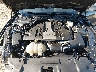 1FA6P8CF3L5****** Reparables 2020 Ford Mustang en Knoxville