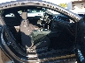 1FA6P8CF3L5****** Usados y Reparables 2020 Ford Mustang en Estado de Tennessee