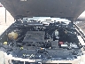 1FMCU03G19K****** Repairable 2009 Ford Escape in Saint Louis