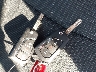 4T3MWRFV2MU****** Salvage 2021 Toyota RAV4 Hybrid in Washington State