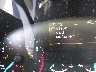 1FMCU0G63LU****** Salvage 2020 Ford Escape in Raleigh