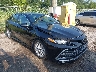 4T1C11AK0PU****** Salvamento y Destrozados 2023 Toyota Camry en Baton Rouge