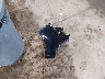 2HGFE2F53SH****** Destrozados 2025 Honda Civic en Estado de Massachusetts