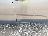5XYKTCA66FG****** Salvamento y Reparables 2015 Kia Sorento en Estado de Ohio