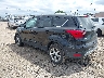 1FMCU9GD5KU****** Salvage and Repairable 2019 Ford Escape in Buffalo