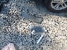 1FMSK7DH4LG****** Wrecked 2020 Ford Explorer in South Carolina State