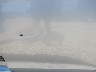 5NPDH4AE3CH****** Salvage and Wrecked 2012 Hyundai Elantra in Dayton