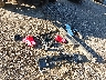 1FTEX1EP4GF****** Destrozados 2016 Ford F-150 en Estado de Ohio