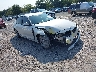 WBA3B1C53EK****** Salvamento y Destrozados 2014 BMW 3 Series en Pensacola