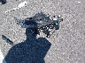 WDDLJ9BB8DA****** Wrecked 2013 Mercedes-Benz Cls 550 in North Carolina State