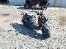 JH2AF5813RK****** Salvage and Wrecked 2024 Honda NPS50 (Ruckus) in Rec Rides Online Exclusive