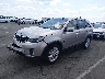 5XYKU4A7XEG****** Usados y Reparables 2014 Kia Sorento en Raleigh