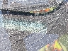 1FMCU0DZ5LU****** Used 2020 Ford Escape in Charlotte