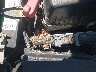 2T1BURHE8EC****** Salvage and Repairable 2014 Toyota Corolla in Massachusetts State