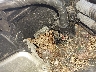2T1BURHE8EC****** Repairable 2014 Toyota Corolla