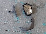 1FMCU0F7XJU****** Wrecked 2018 Ford Escape in Florida State