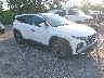 3KMJC3DE4SE****** Salvamento y Destrozados 2025 Hyundai Tucson en West Palm Beach