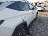 3KMJC3DE4SE****** Salvamento y Reparables 2025 Hyundai Tucson en Estado de Florida