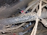 3NSVDE997KH****** Repairable 2019 Polaris RZR in Rec Rides Online Exclusive