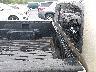 5TENX22N28Z****** Wrecked 2008 Toyota Tacoma in Englishtown