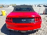 1FATP8UH0K5****** Used 2019 Ford Mustang