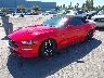 1FATP8UH0K5****** Used and Repairable 2019 Ford Mustang in Fremont