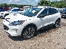 1FMCU9H67MU****** Usados y Reparables 2021 Ford Escape en South Bend