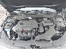 5XXGT4L38LG****** Repairable 2020 Kia Optima in Buffalo