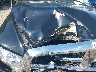 1D7HU18DX4J****** Repairable 2004 Dodge Ram 1500 in Bridgeport