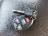 1G1ZE5E70AF****** Salvage 2010 Chevrolet Malibu in Ohio State