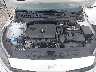 3KPF24AD7PE****** Reparables 2023 Kia Forte en Tampa
