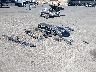 5NMJBCDE3RH****** Salvamento y Reparables 2024 Hyundai Tucson en Sacramento