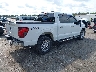 1FTFW3L83RK****** Salvamento y Destrozados 2024 Ford F-150 en Estado de Florida