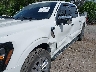1FTFW3L83RK****** Salvamento y Reparables 2024 Ford F-150 en Estado de Florida