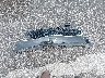 KNALN4D76G5****** Destrozados 2016 Kia Cadenza en Estado de Nebraska