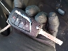 4T1G11AK7PU****** Salvage 2023 Toyota Camry in Massachusetts State