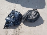 JTERU5JR1R6****** Wrecked 2024 Toyota 4Runner in Texas State