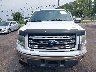 1FTFW1ET1DK****** Salvage 2013 Ford F-150 in Florida State