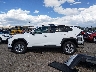 2T3W1RFV9NC****** Reparables 2022 Toyota RAV4 en Estado de Nuevo México