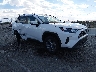 2T3W1RFV9NC****** Salvamento y Destrozados 2022 Toyota RAV4 en Albuquerque