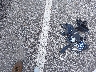 1GKKRRKD1EJ****** Destrozados 2014 GMC Acadia en Estado de Indiana
