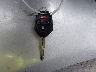 JF2SJAFC9GH****** Salvamento 2016 Subaru Forester en Estado de New Hampshire